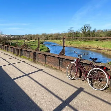 Riverside By Camel Trail In Cornwall *
